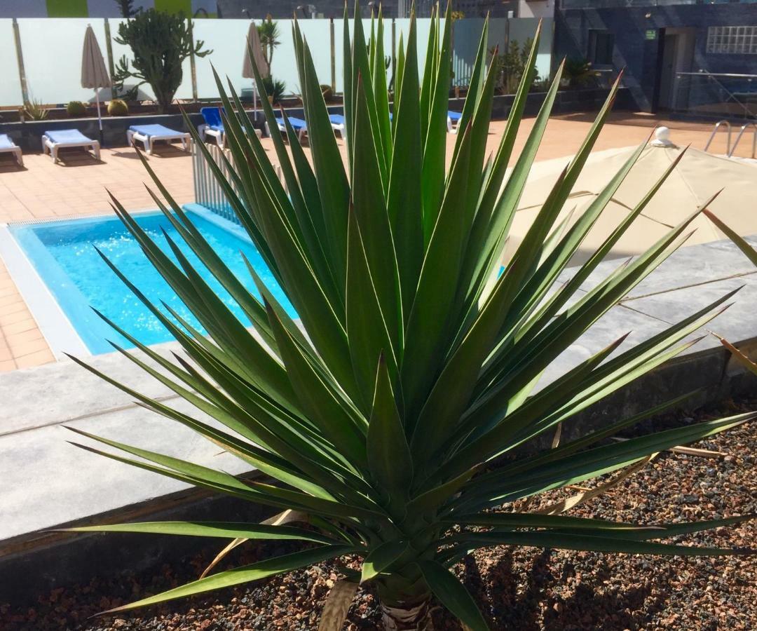 Blue Dream Playa Apartment Corralejo Exterior photo